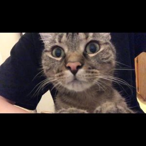 Meet your Posher, Crystal